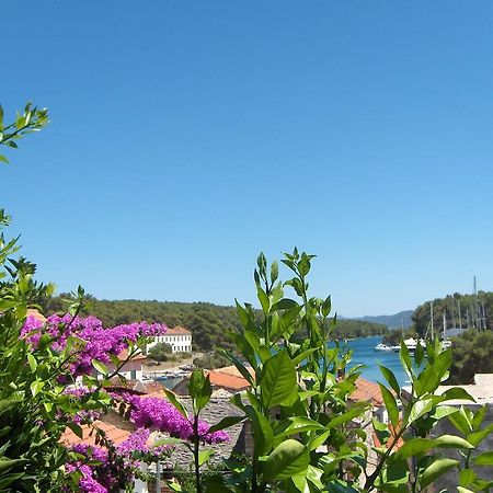 Guest House Roza Vrboska Rom bilde