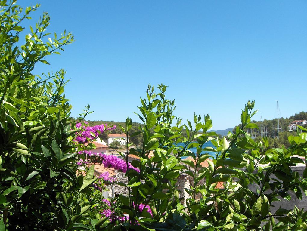 Guest House Roza Vrboska Rom bilde