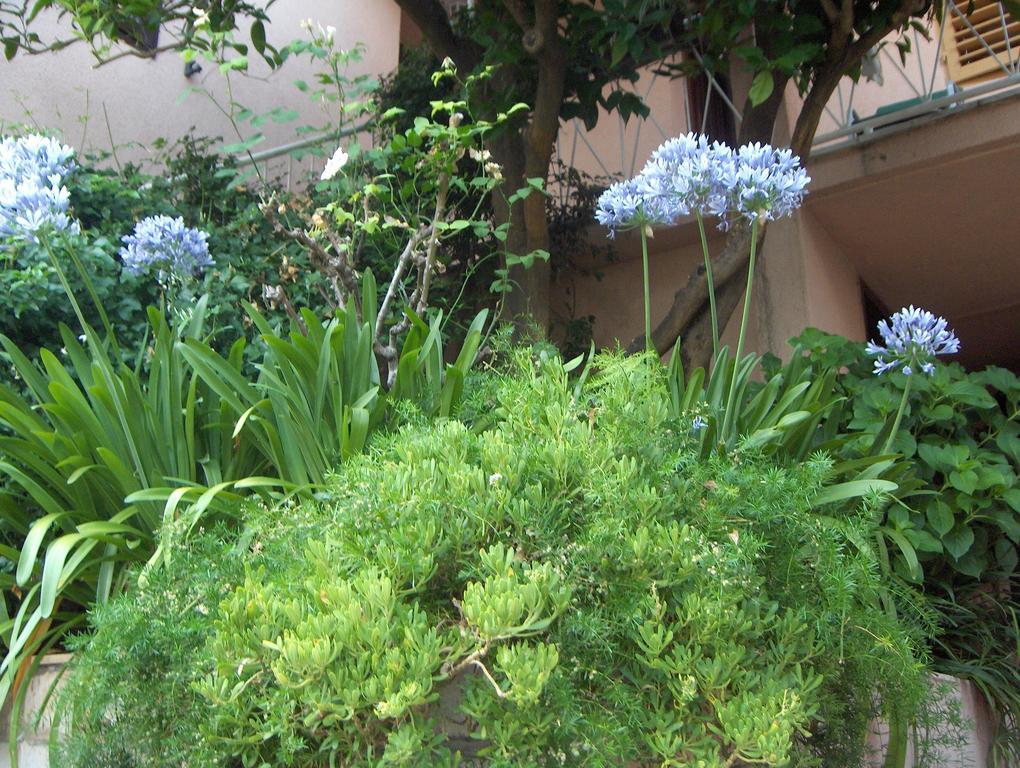 Guest House Roza Vrboska Rom bilde
