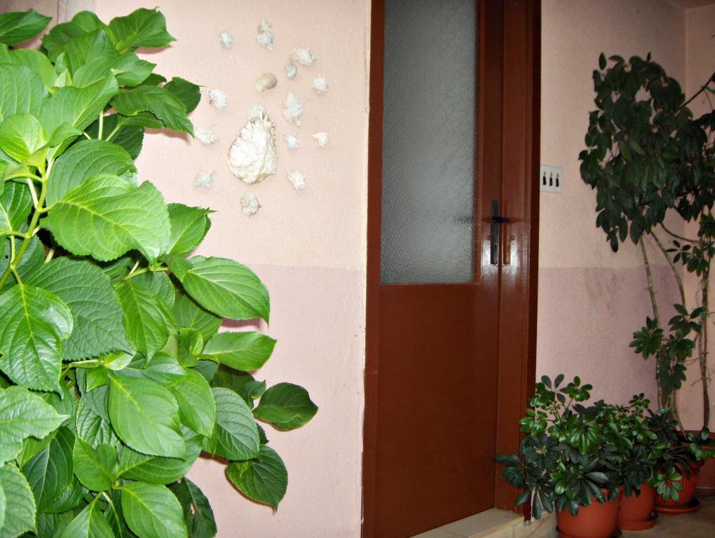 Guest House Roza Vrboska Rom bilde