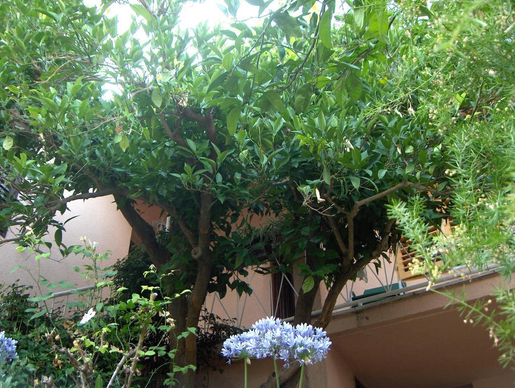 Guest House Roza Vrboska Rom bilde