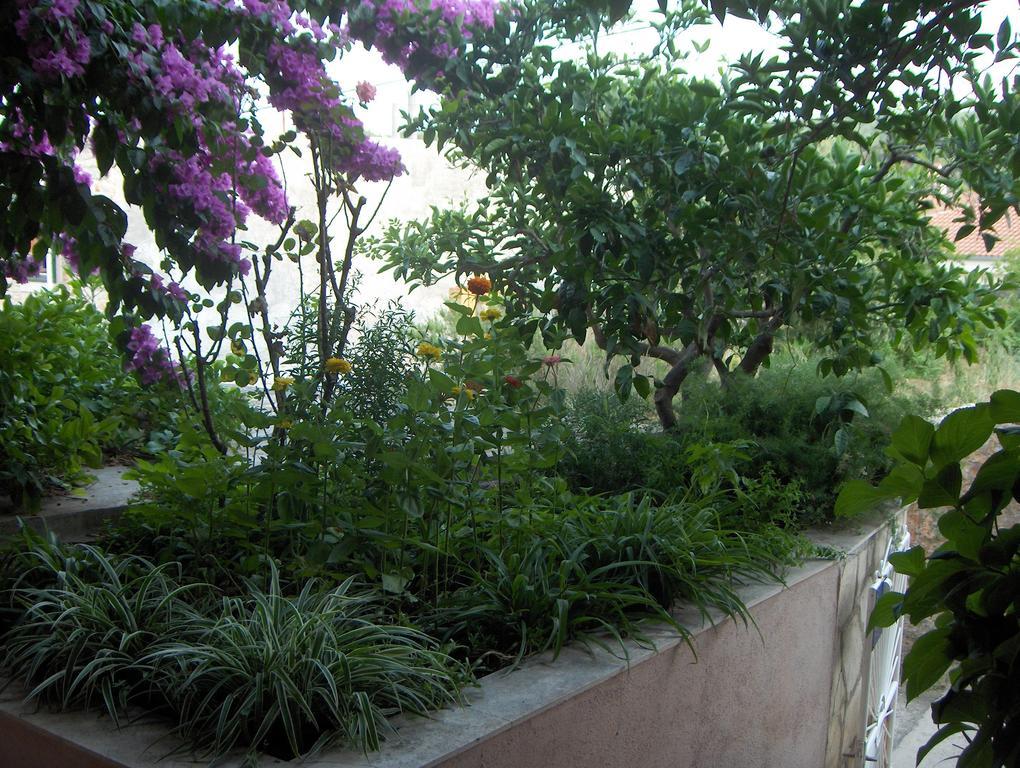 Guest House Roza Vrboska Rom bilde