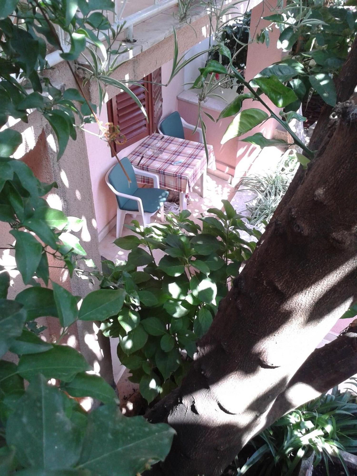 Guest House Roza Vrboska Rom bilde