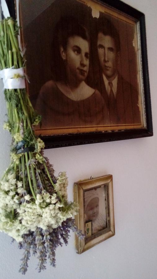 Guest House Roza Vrboska Eksteriør bilde